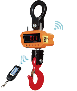 RF Digital crane scale